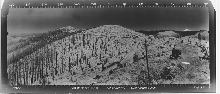Osborne Image, North View