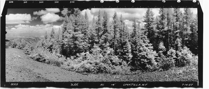Osborne Image, North View