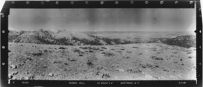 Osborne Image, North View