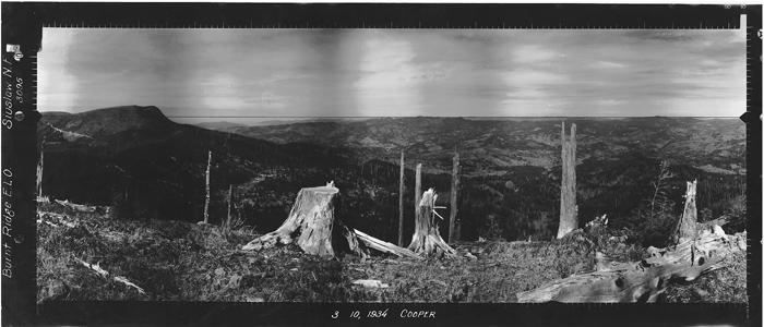 Osborne Image, North View