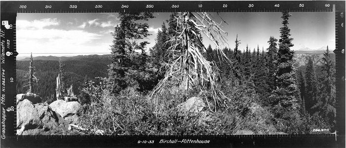 Osborne Image, North View